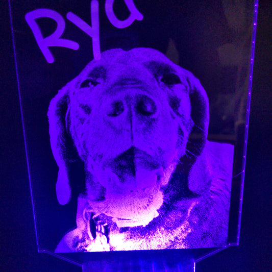 Custom Pet Portrait (mini LED)