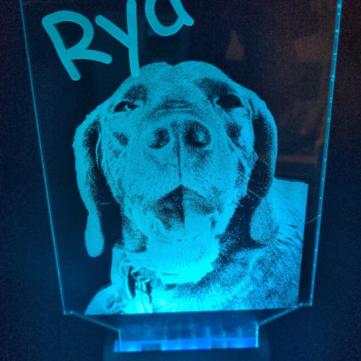Custom Pet Portrait