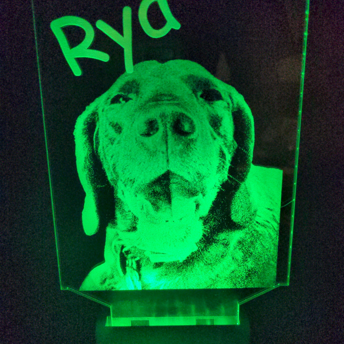 Custom Pet Portrait