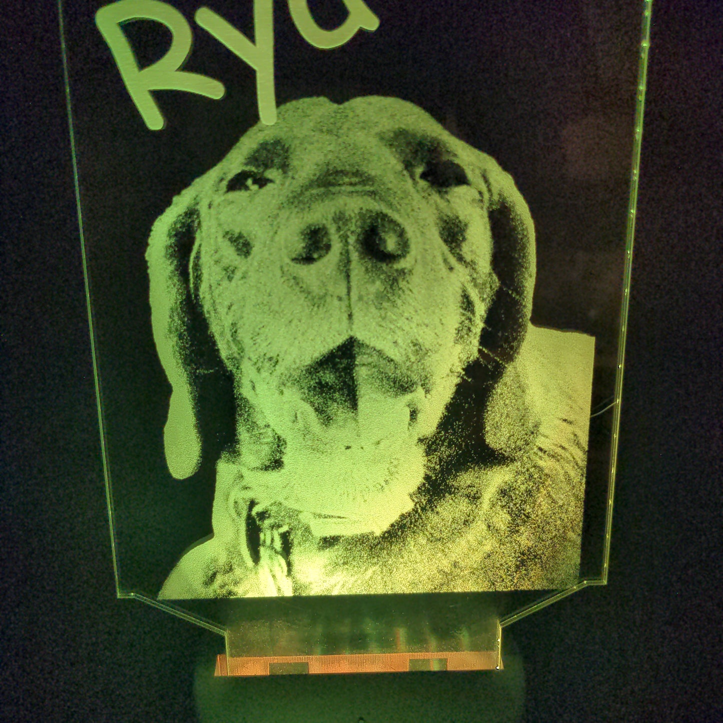 Custom Pet Portrait