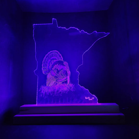 Turkey time (standard LED)