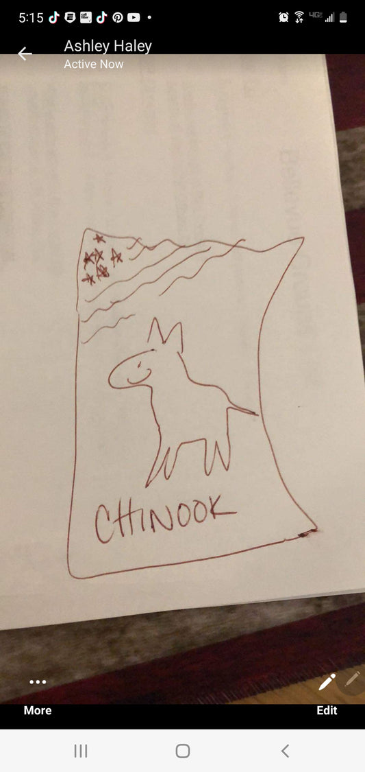 HAND ENGRAVED Pet Portraits