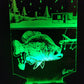Crappie fish house (mini LED)