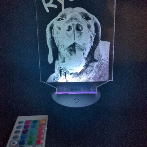 Custom Pet Portrait (mini LED)