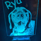 Custom Pet Portrait (mini LED)