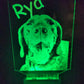 Custom Pet Portrait (mini LED)