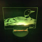 A Lone Loon (mini LED)