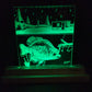 Crappie Fish House (standard led)