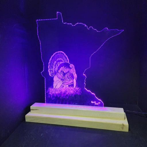 Turkey time (standard LED)