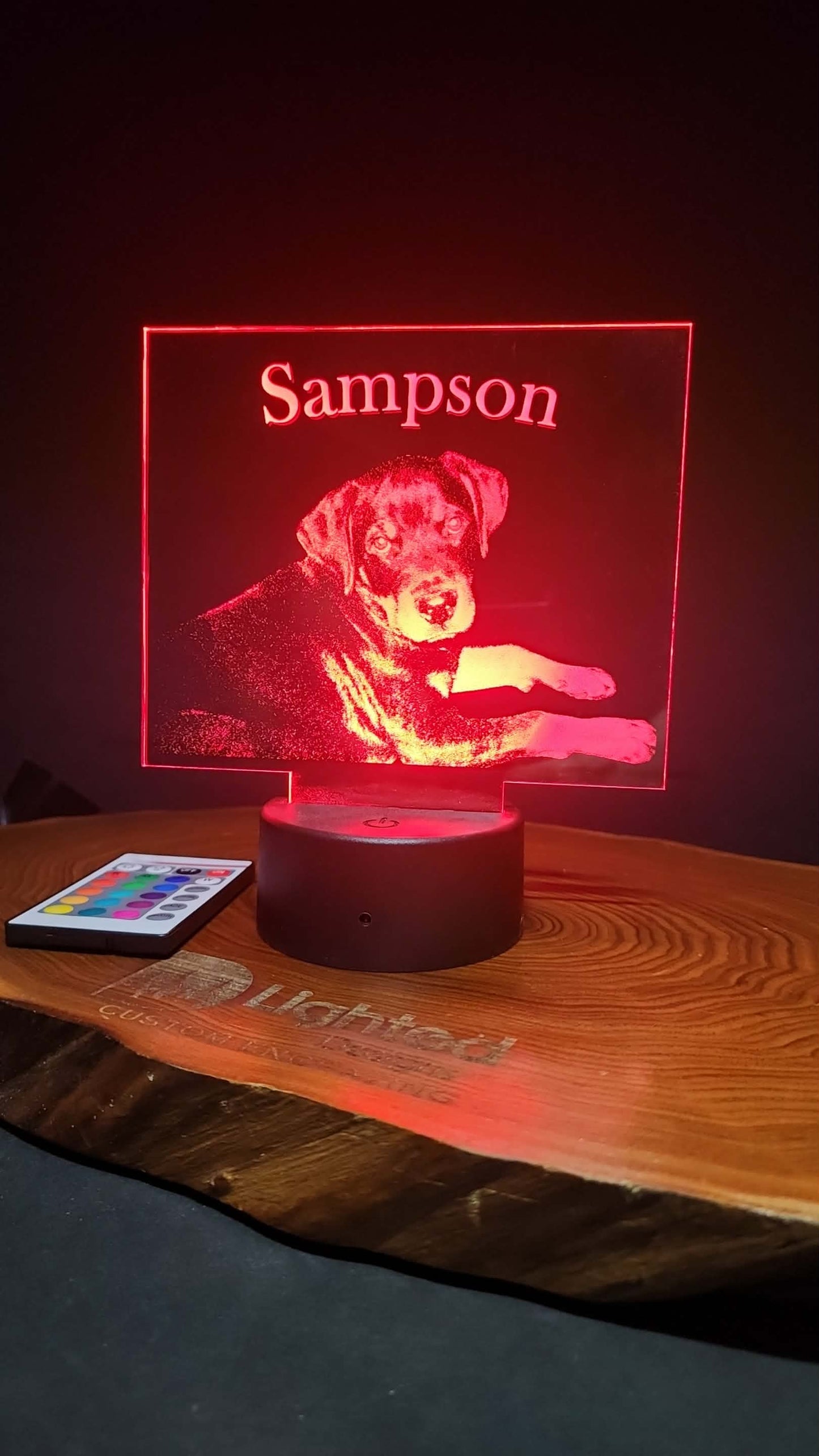 Custom Pet Portrait (mini LED)