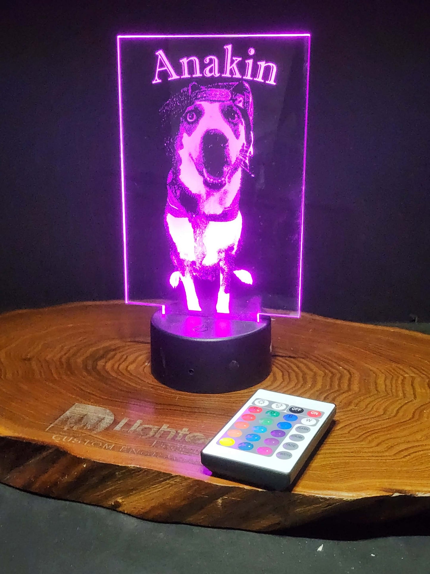 Custom Pet Portrait (mini LED)