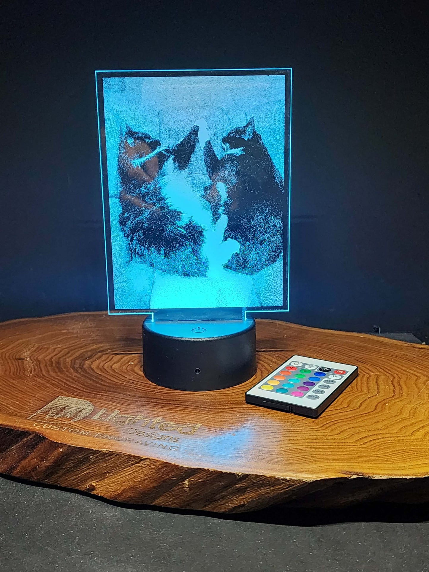 Custom Pet Portrait (mini LED)