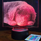 Custom Pet Portrait (mini LED)