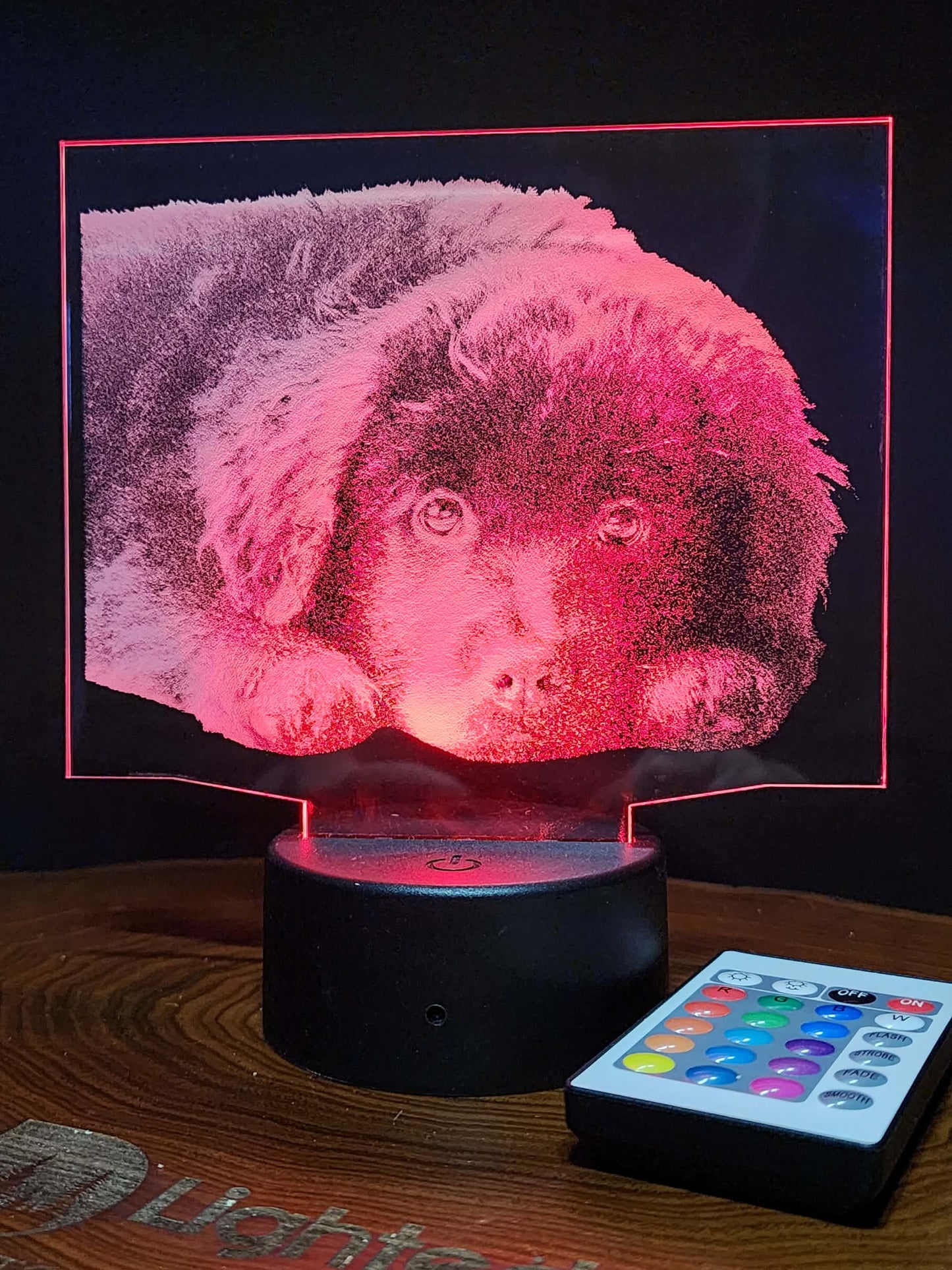 Custom Pet Portrait (mini LED)