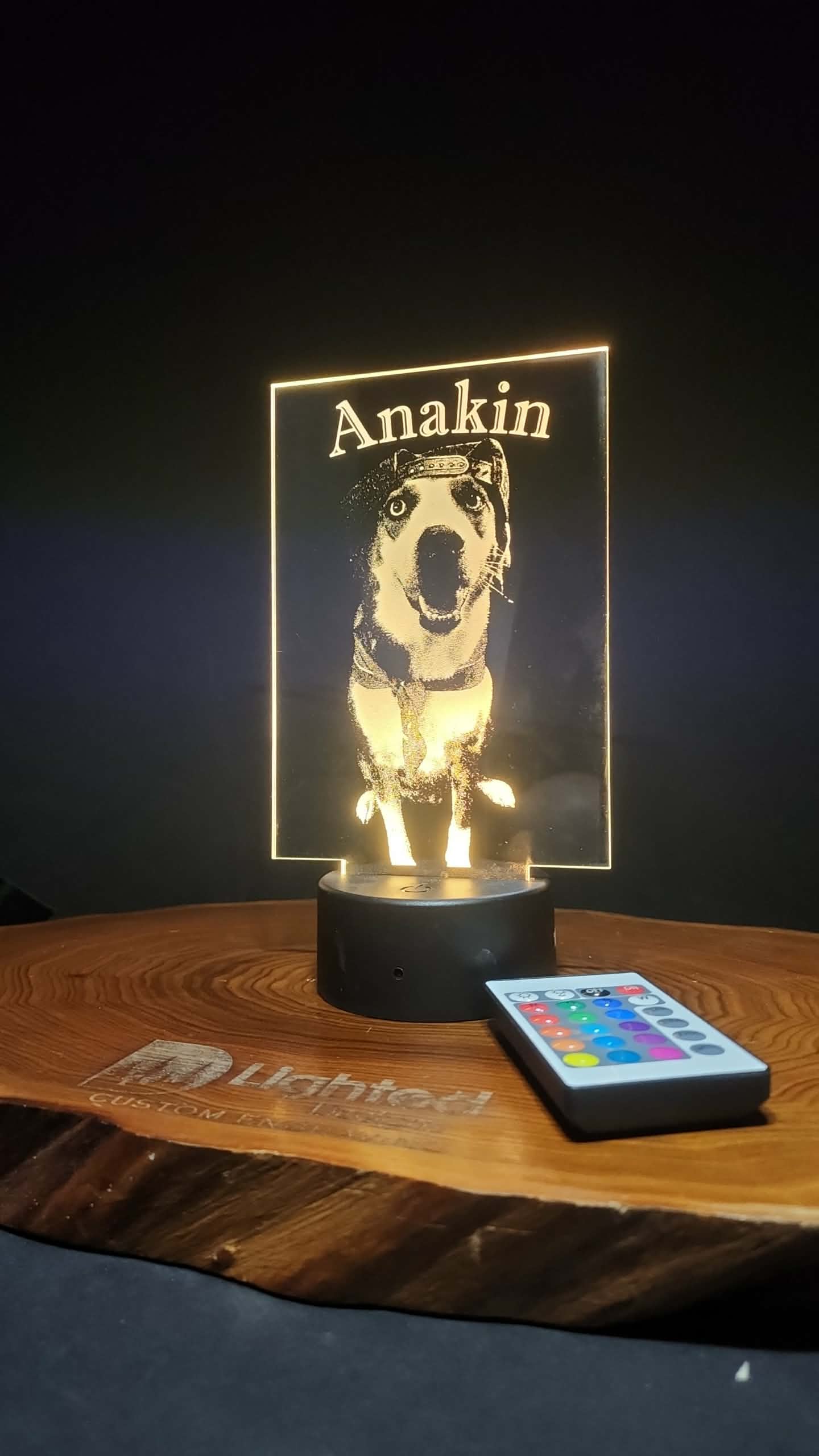Custom Pet Portrait (mini LED)