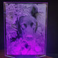 Custom Pet Portrait (mini LED)