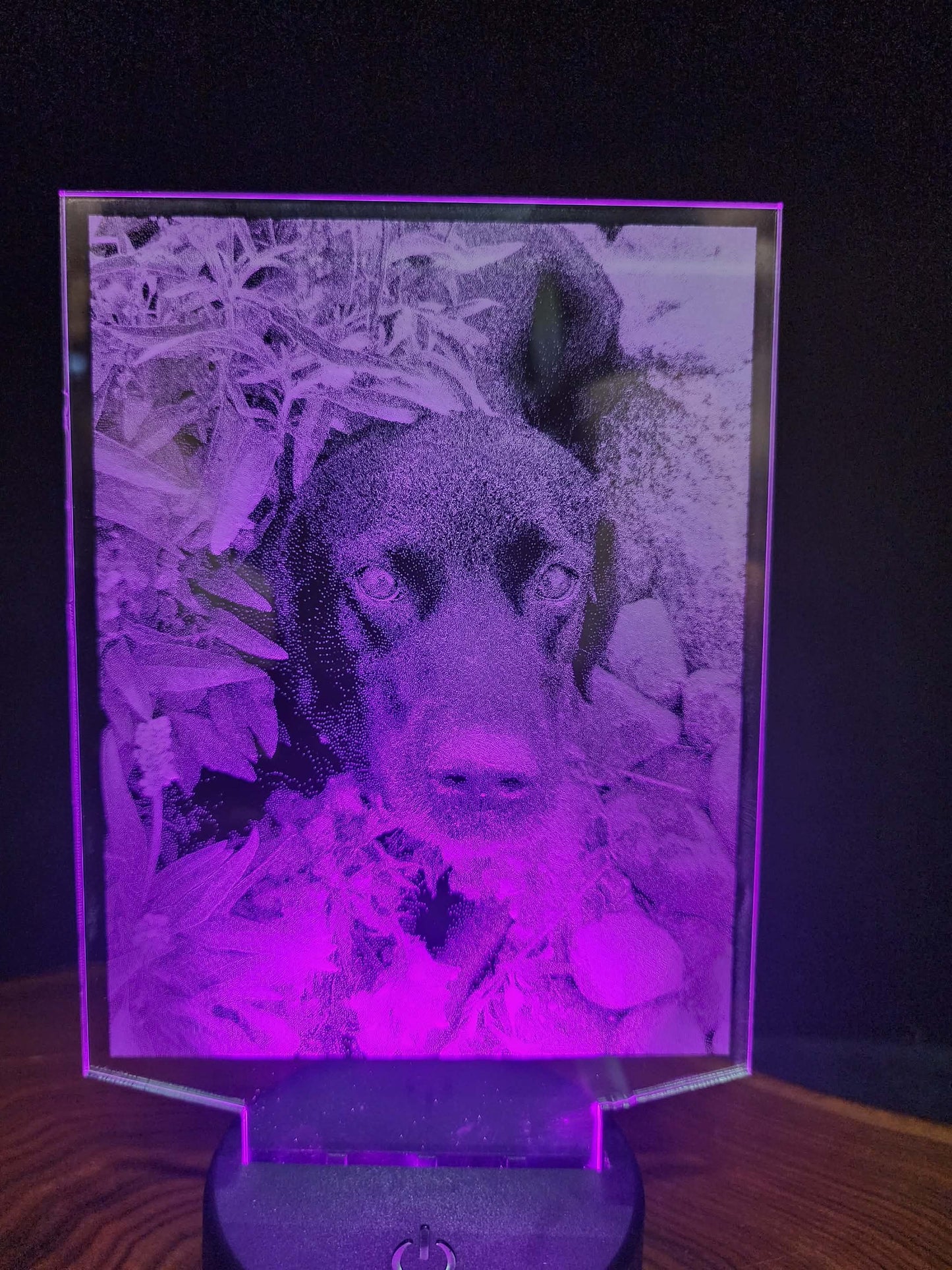 Custom Pet Portrait (mini LED)