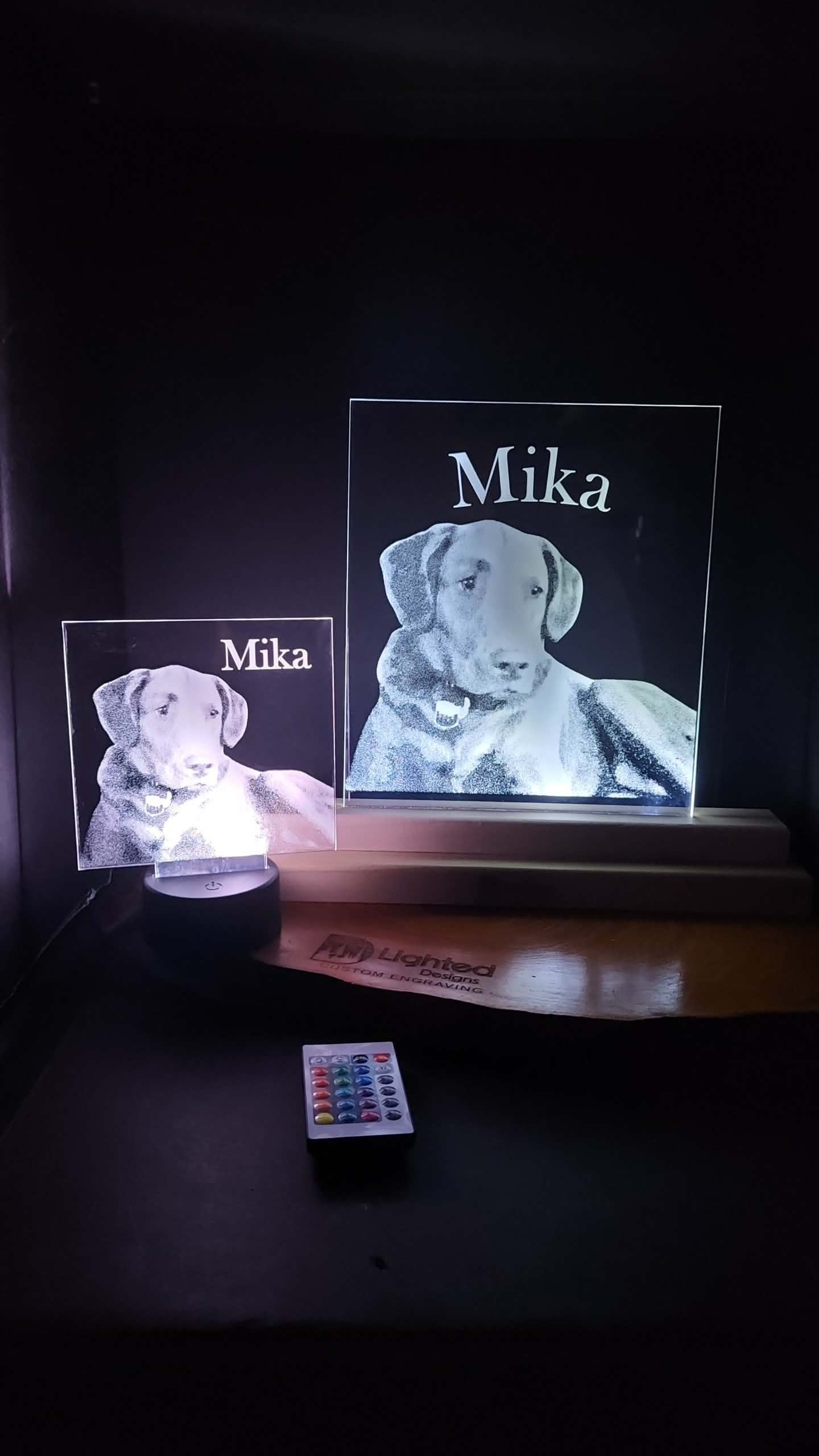 Custom Pet Portrait (mini LED)