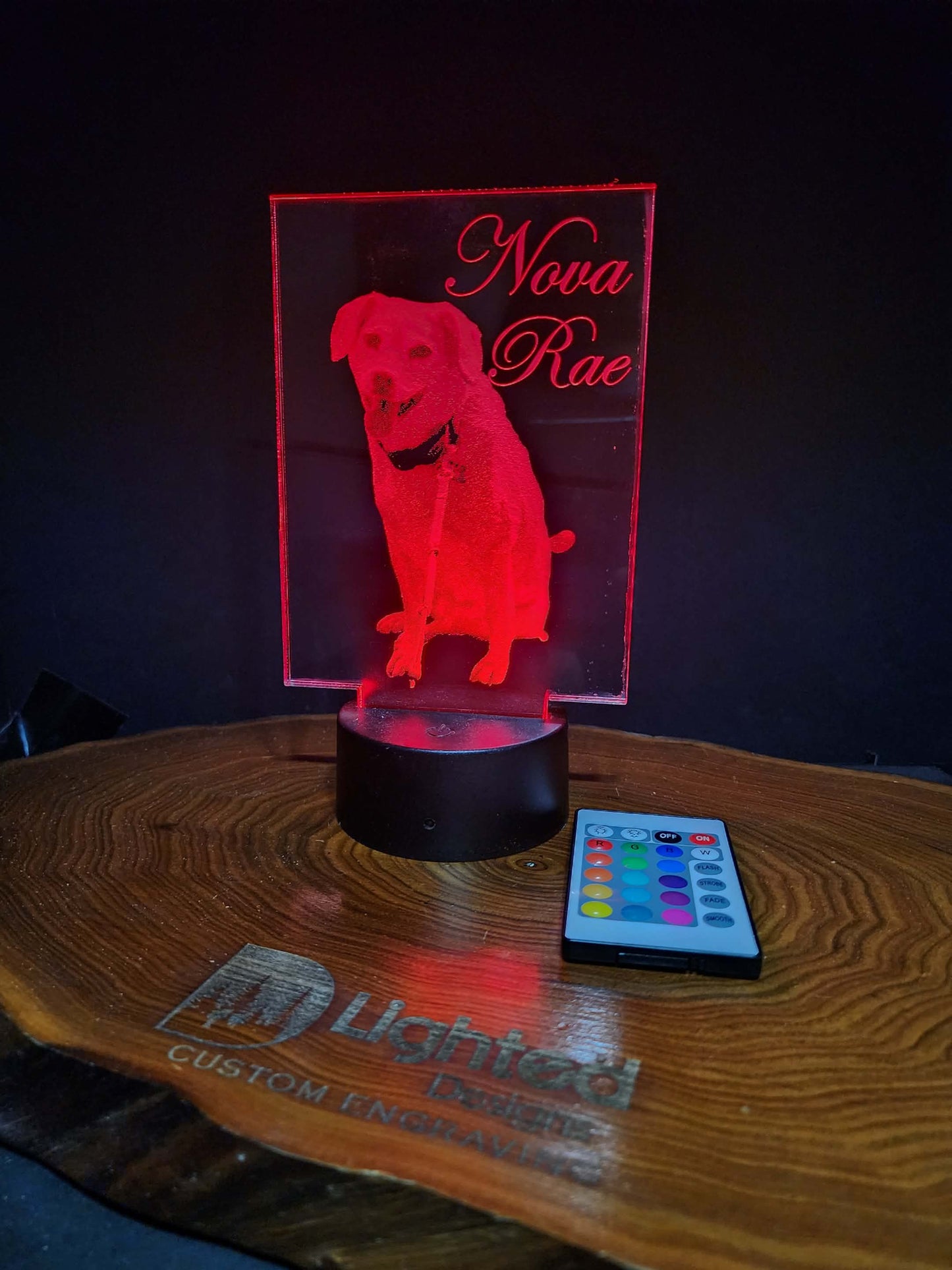 Custom Pet Portrait (mini LED)