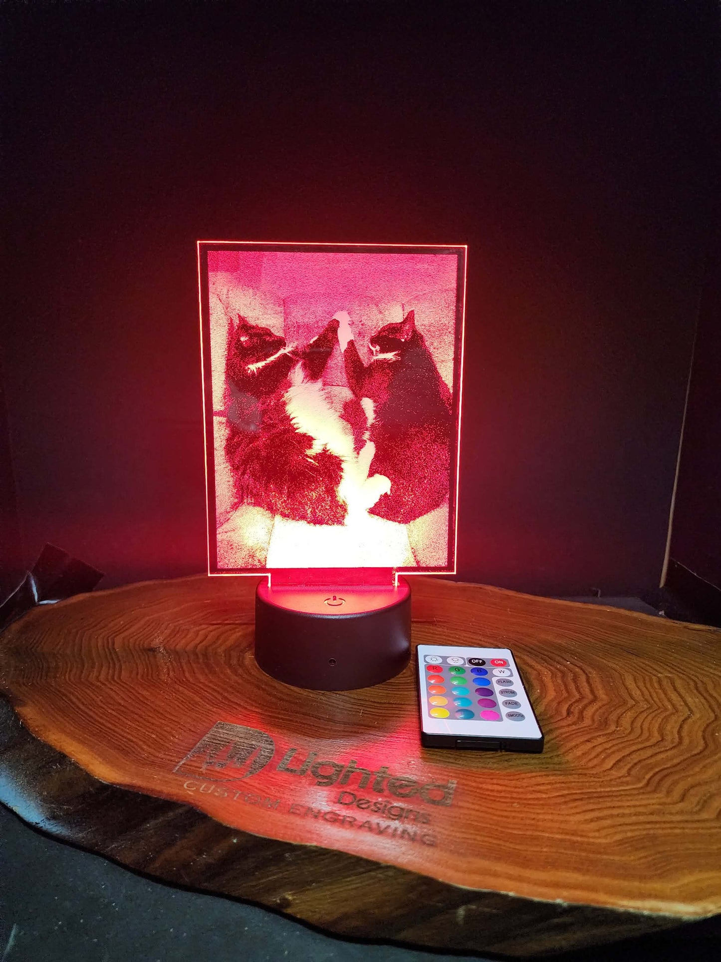 Custom Pet Portrait (mini LED)