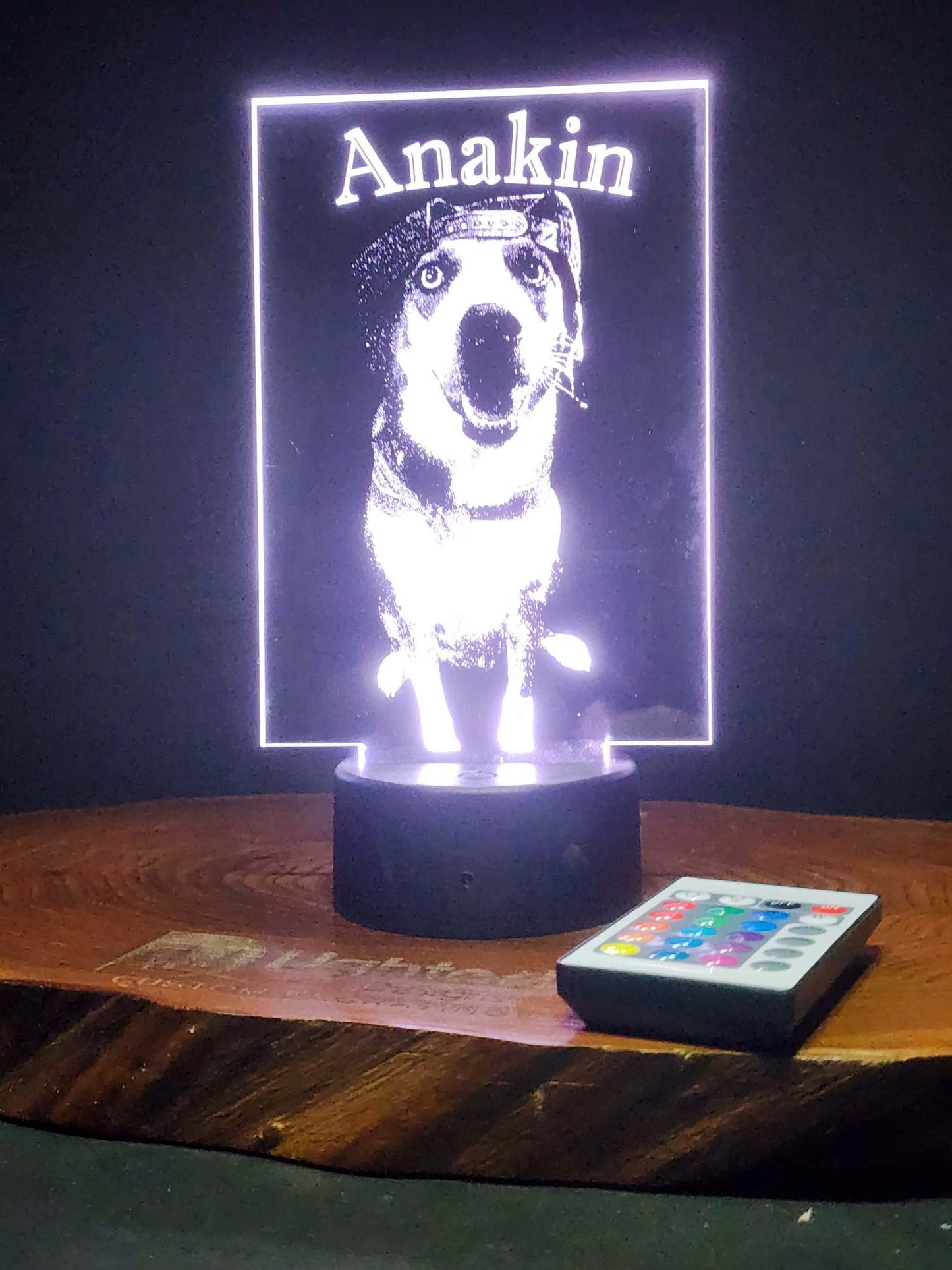 Custom Pet Portrait (mini LED)