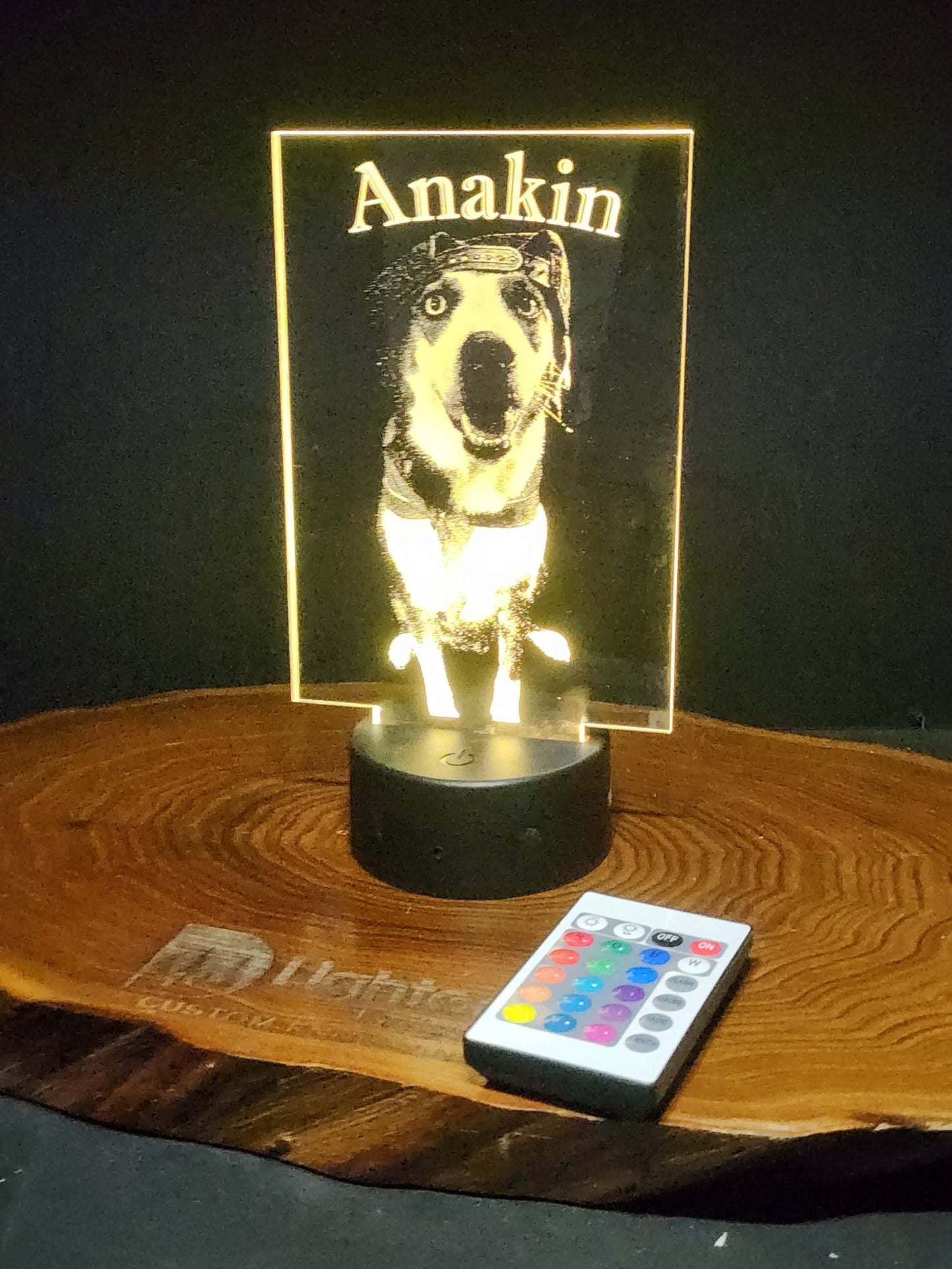 Custom Pet Portrait (mini LED)