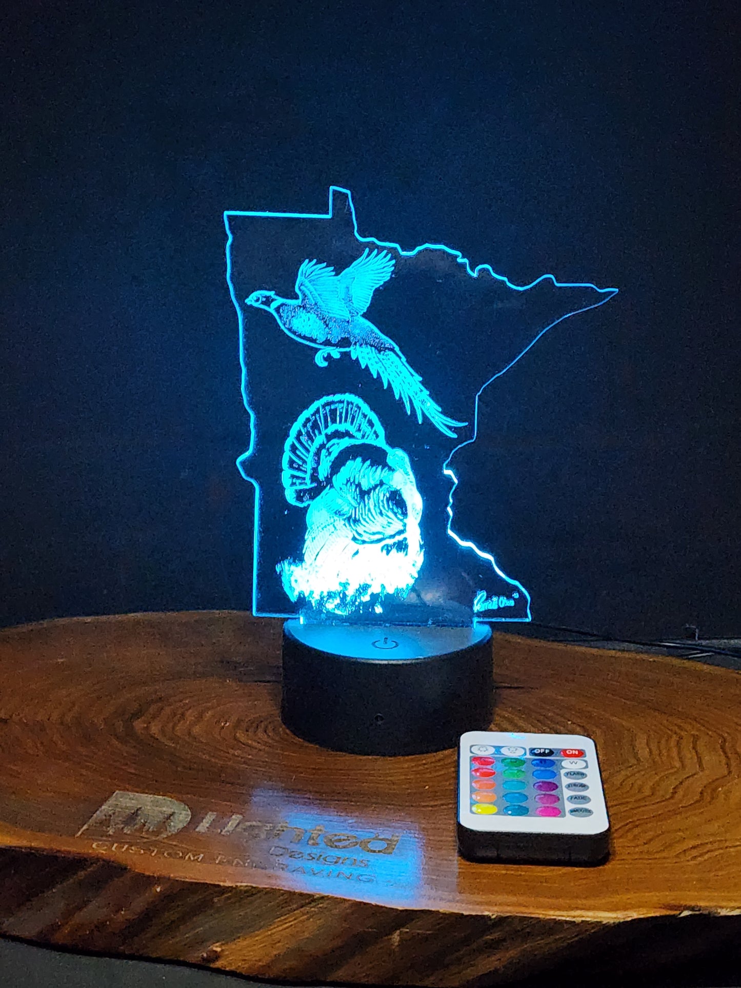 Fly away home (mini LED)