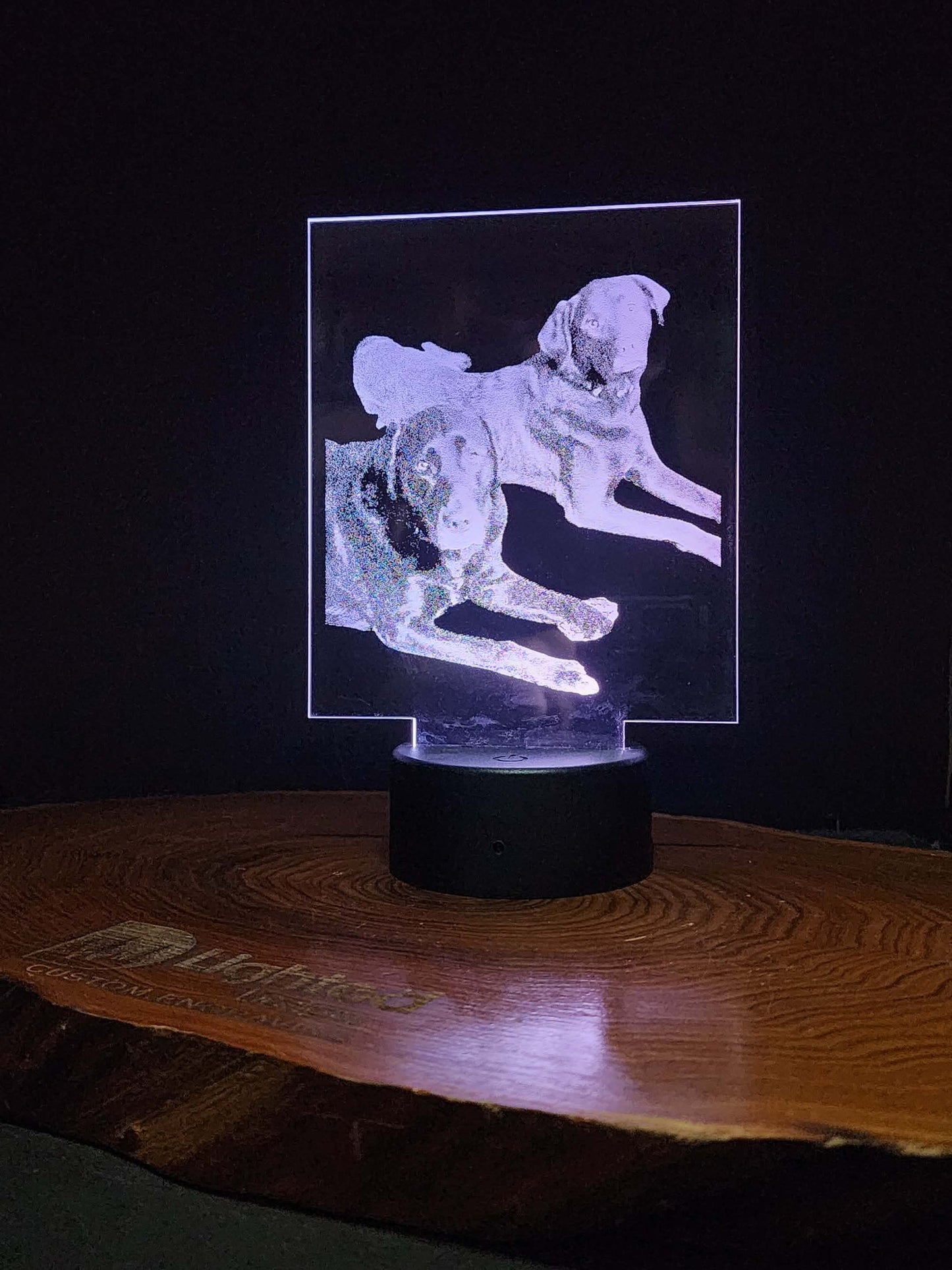 Custom Pet Portrait (mini LED)