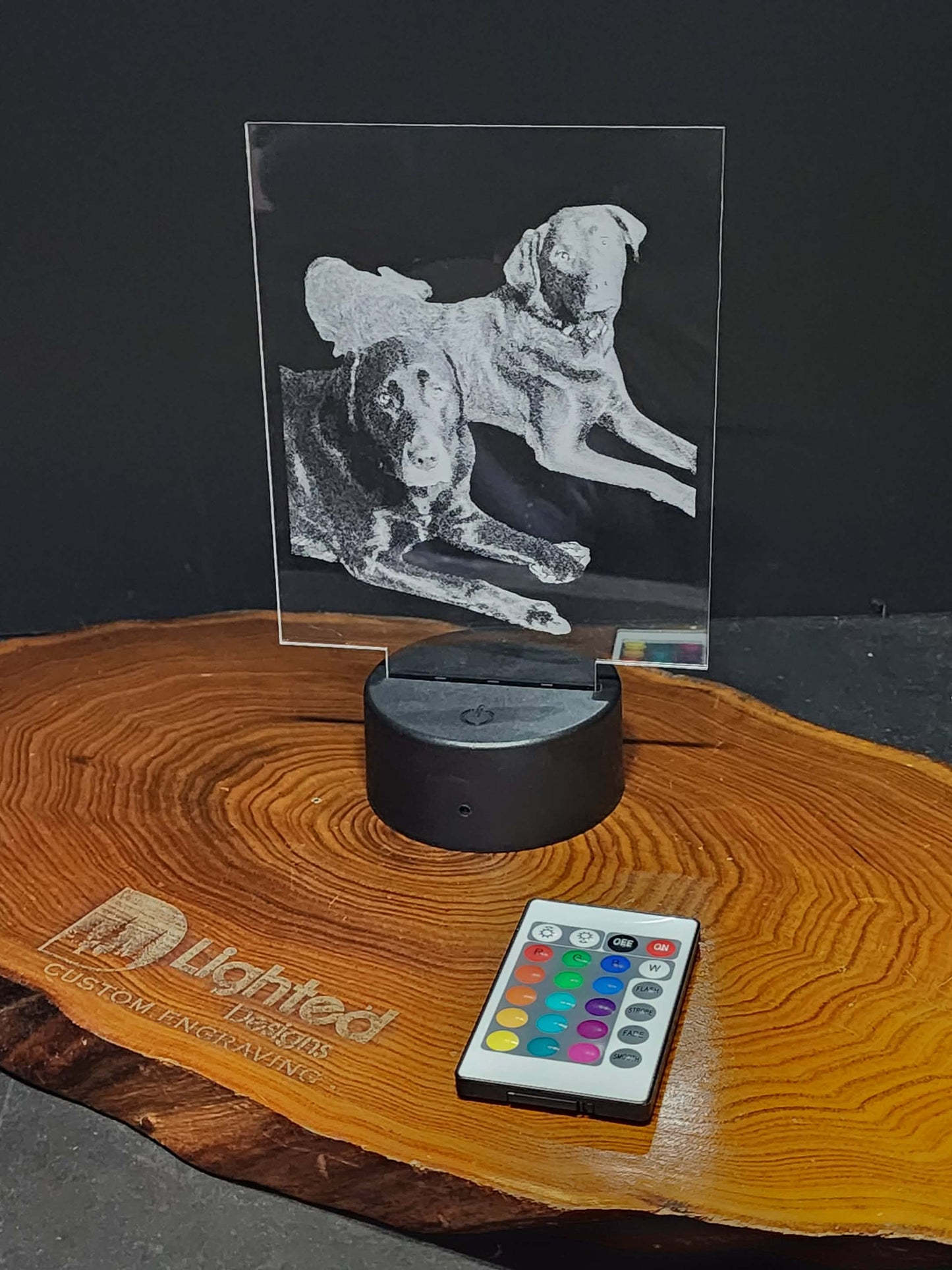 Custom Pet Portrait (mini LED)