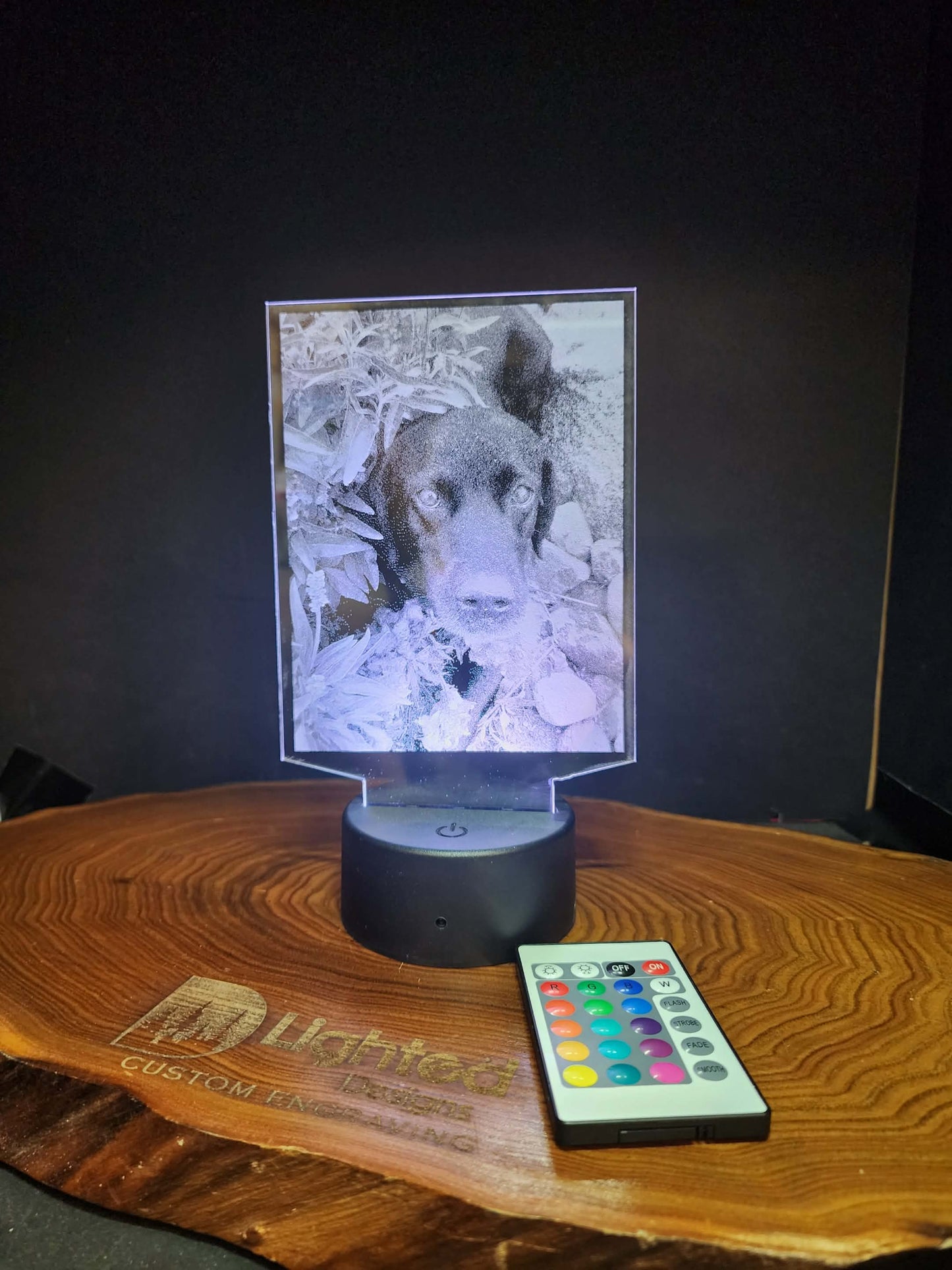 Custom Pet Portrait (mini LED)