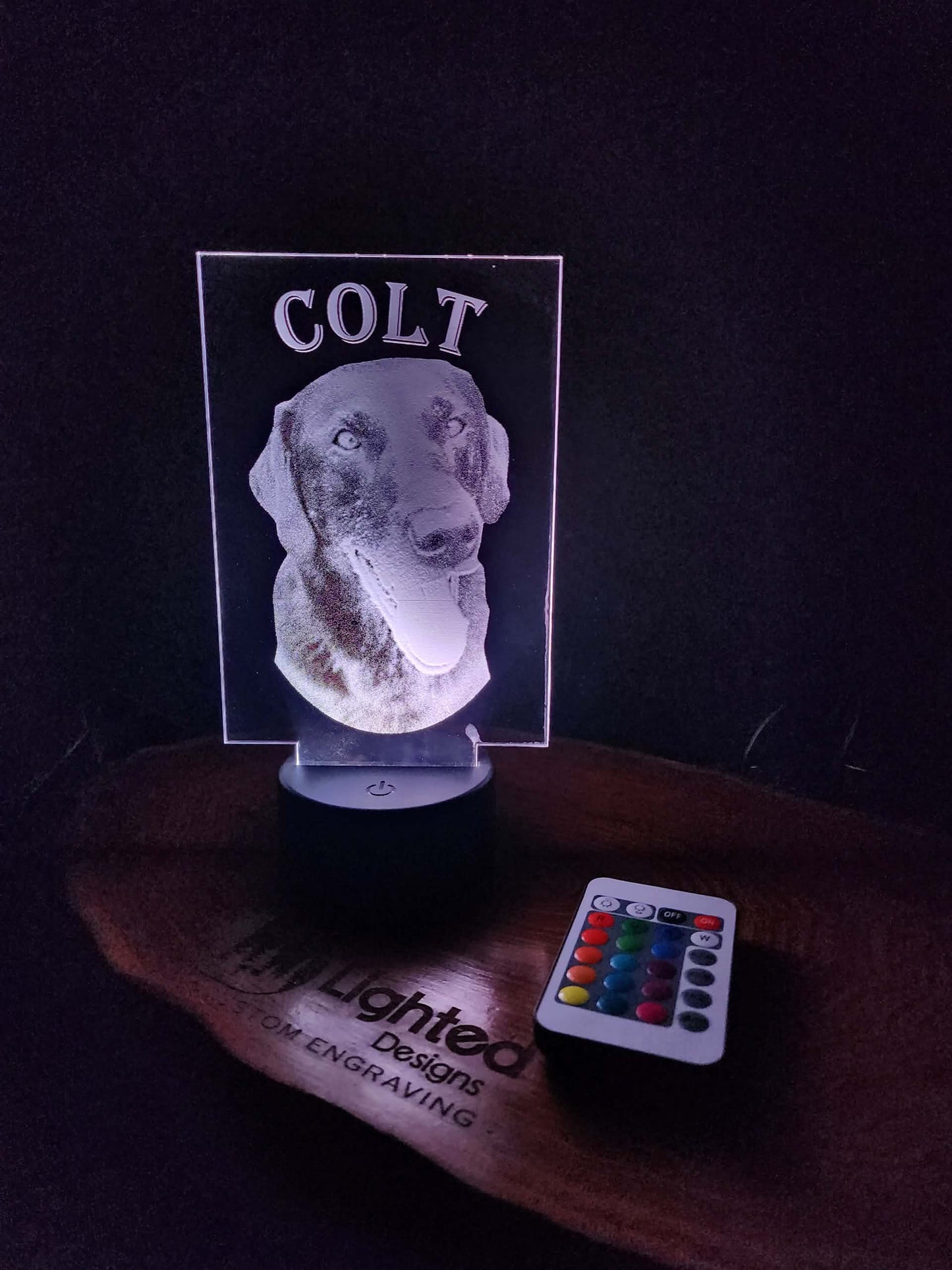 Custom Pet Portrait (mini LED)