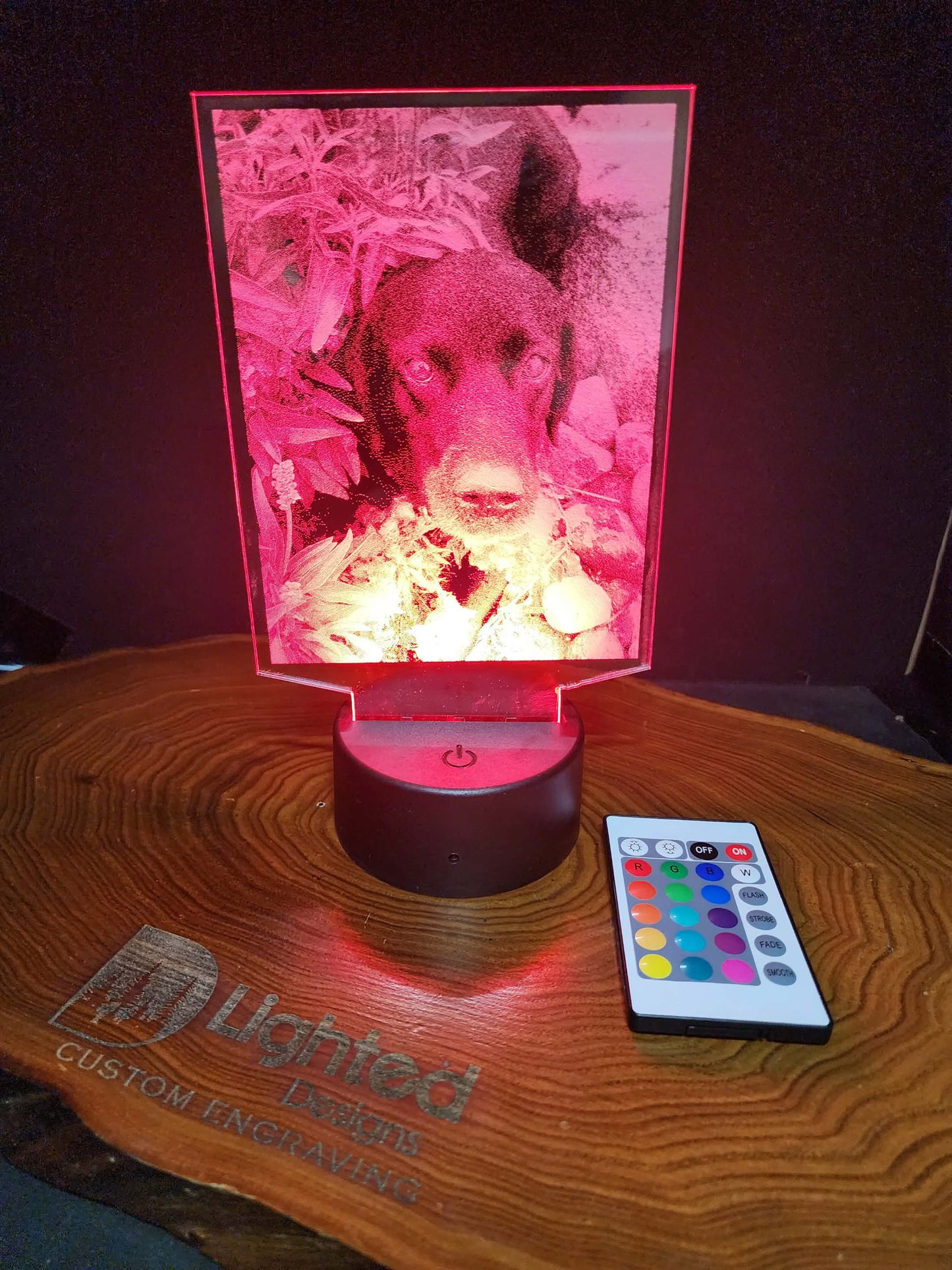 Custom Pet Portrait (mini LED)