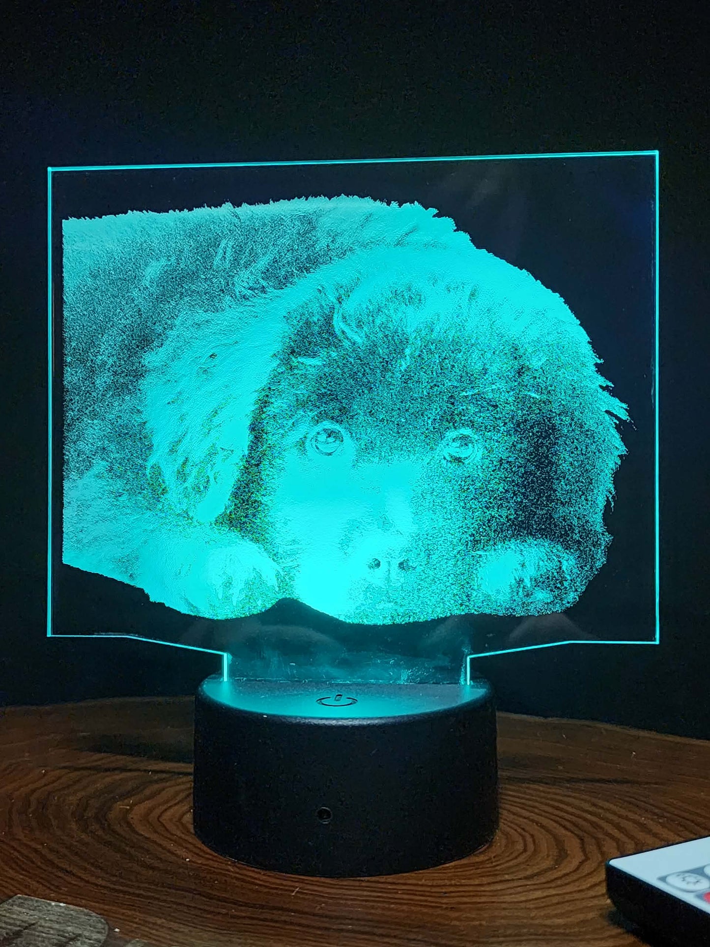 Custom Pet Portrait (mini LED)