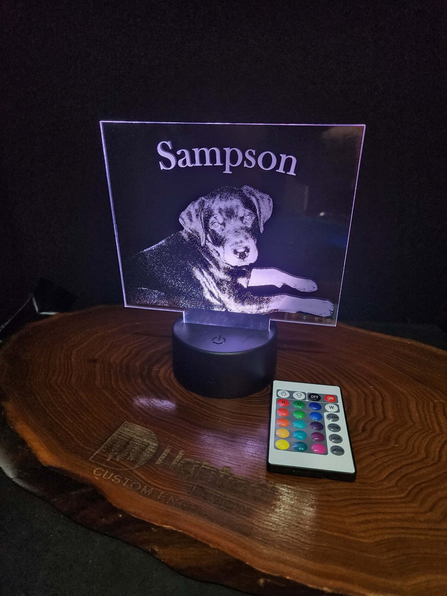Custom Pet Portrait (mini LED)