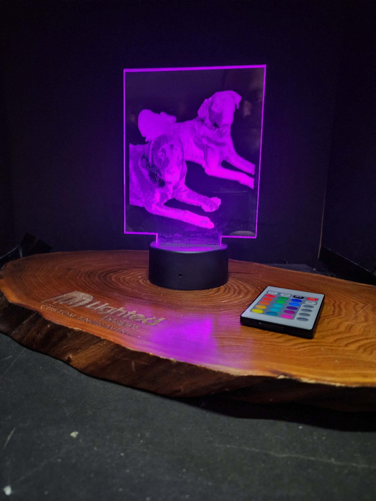 Custom Pet Portrait (mini LED)