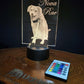 Custom Pet Portrait (mini LED)