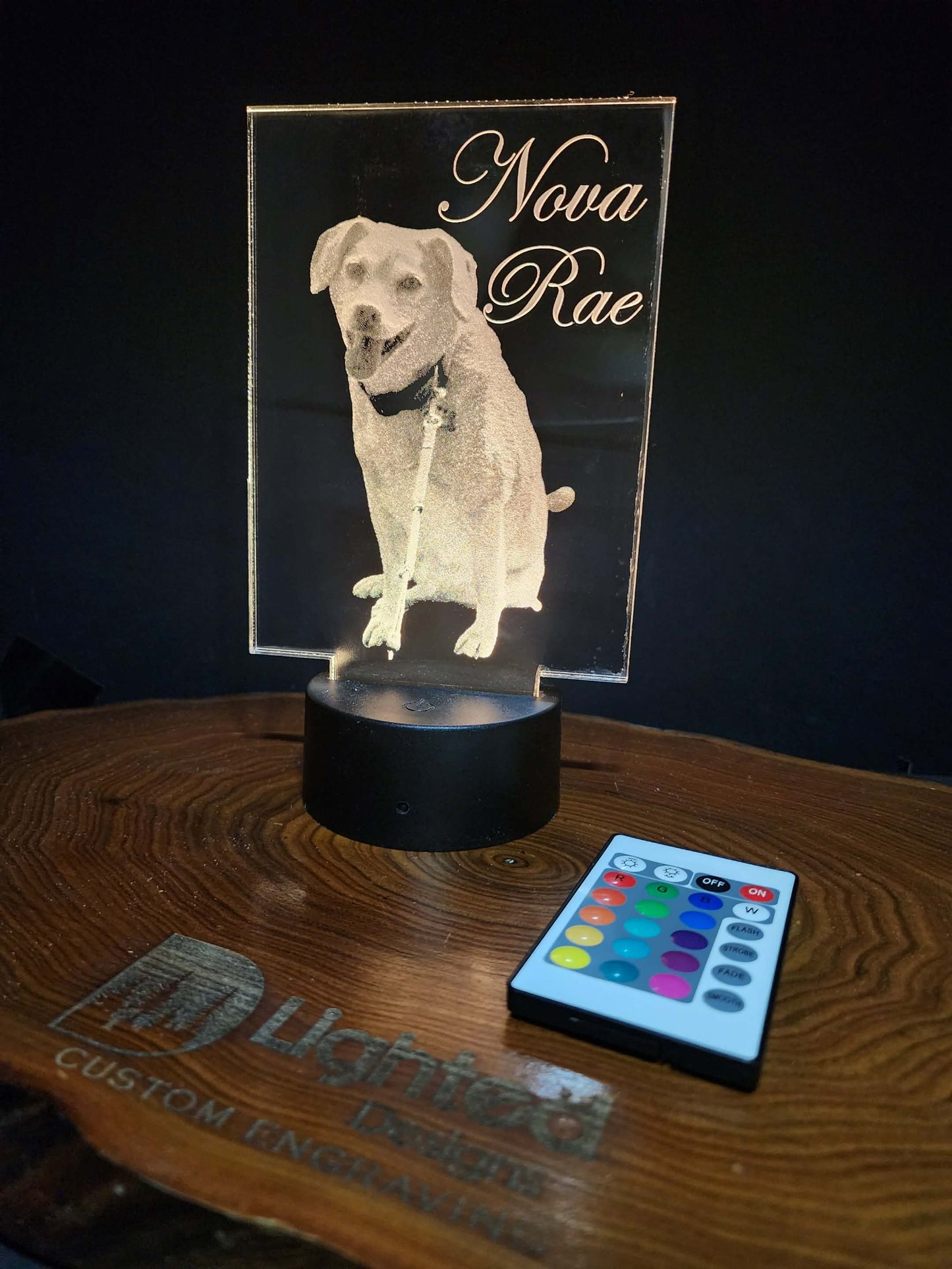 Custom Pet Portrait (mini LED)