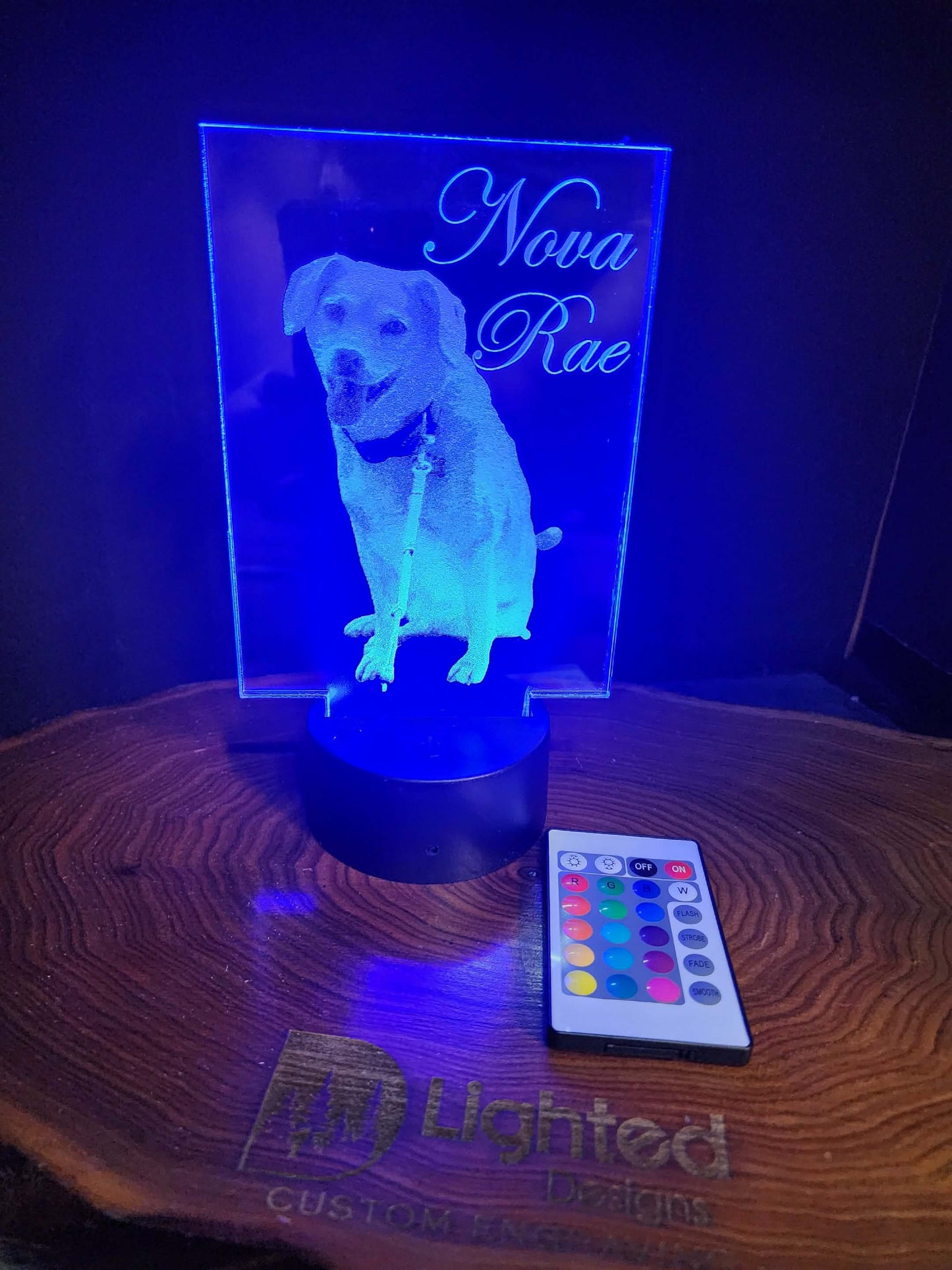 Custom Pet Portrait (mini LED)