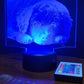 Custom Pet Portrait (mini LED)
