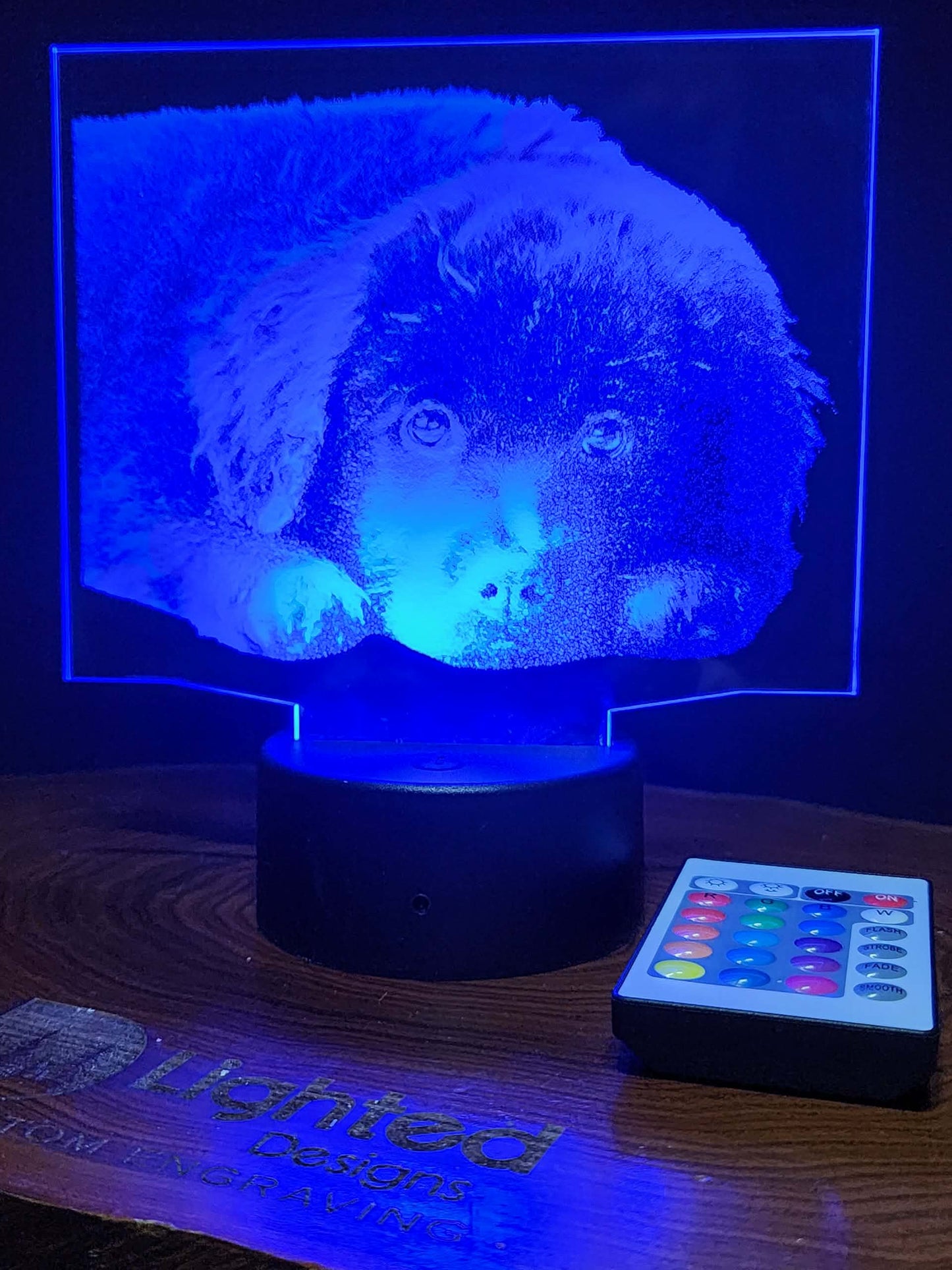 Custom Pet Portrait (mini LED)
