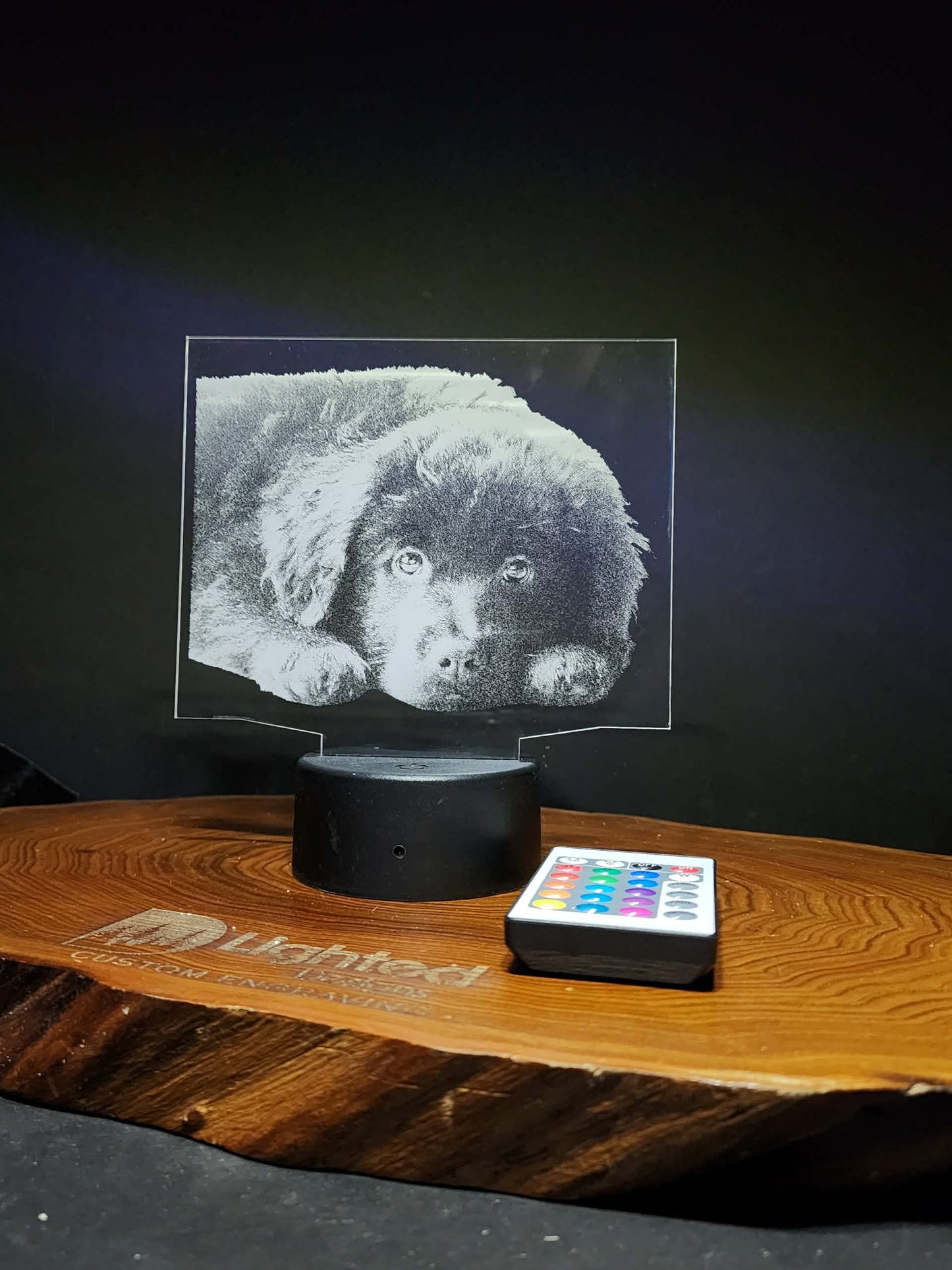 Custom Pet Portrait (mini LED)