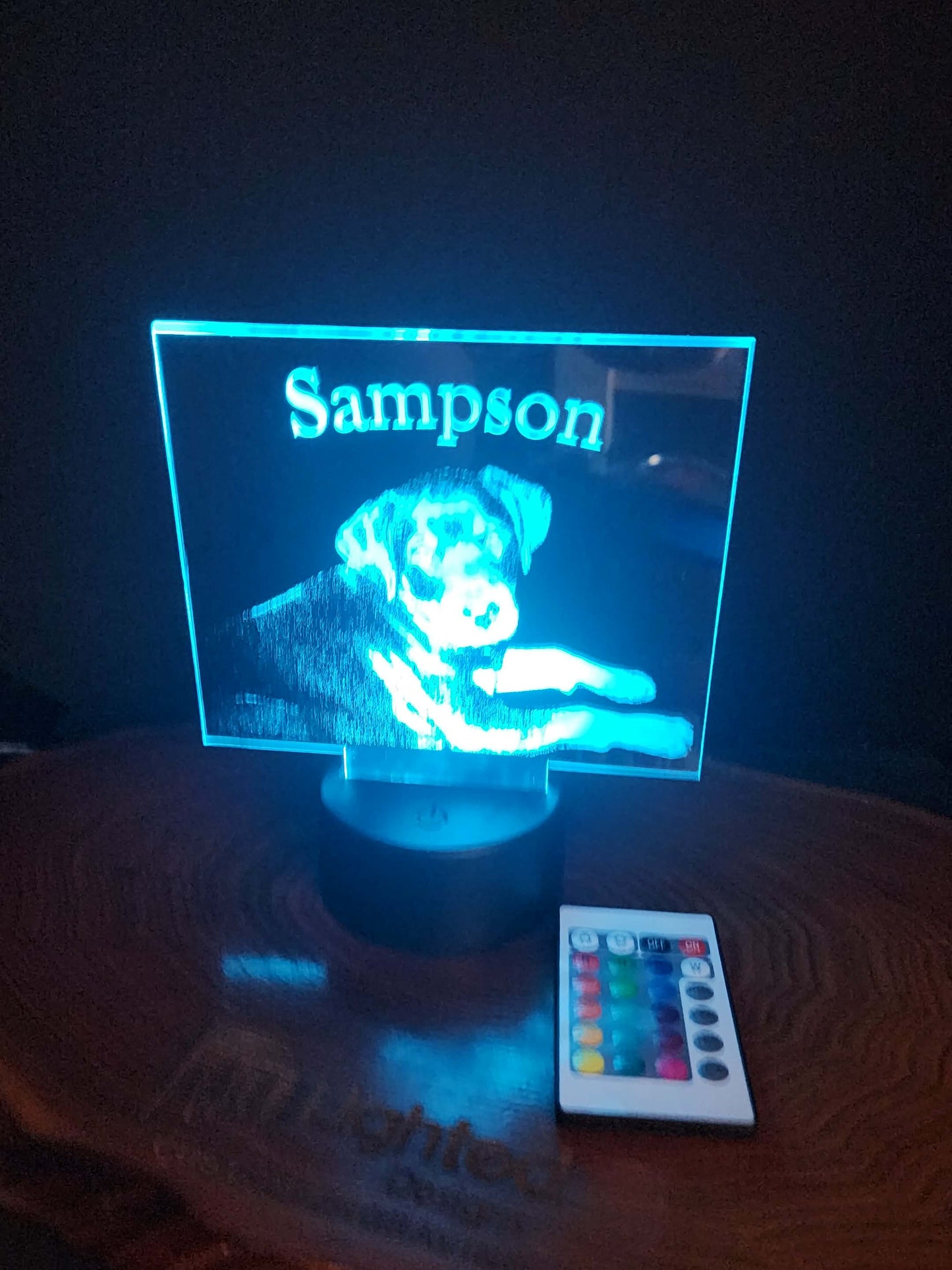 Custom Pet Portrait (mini LED)