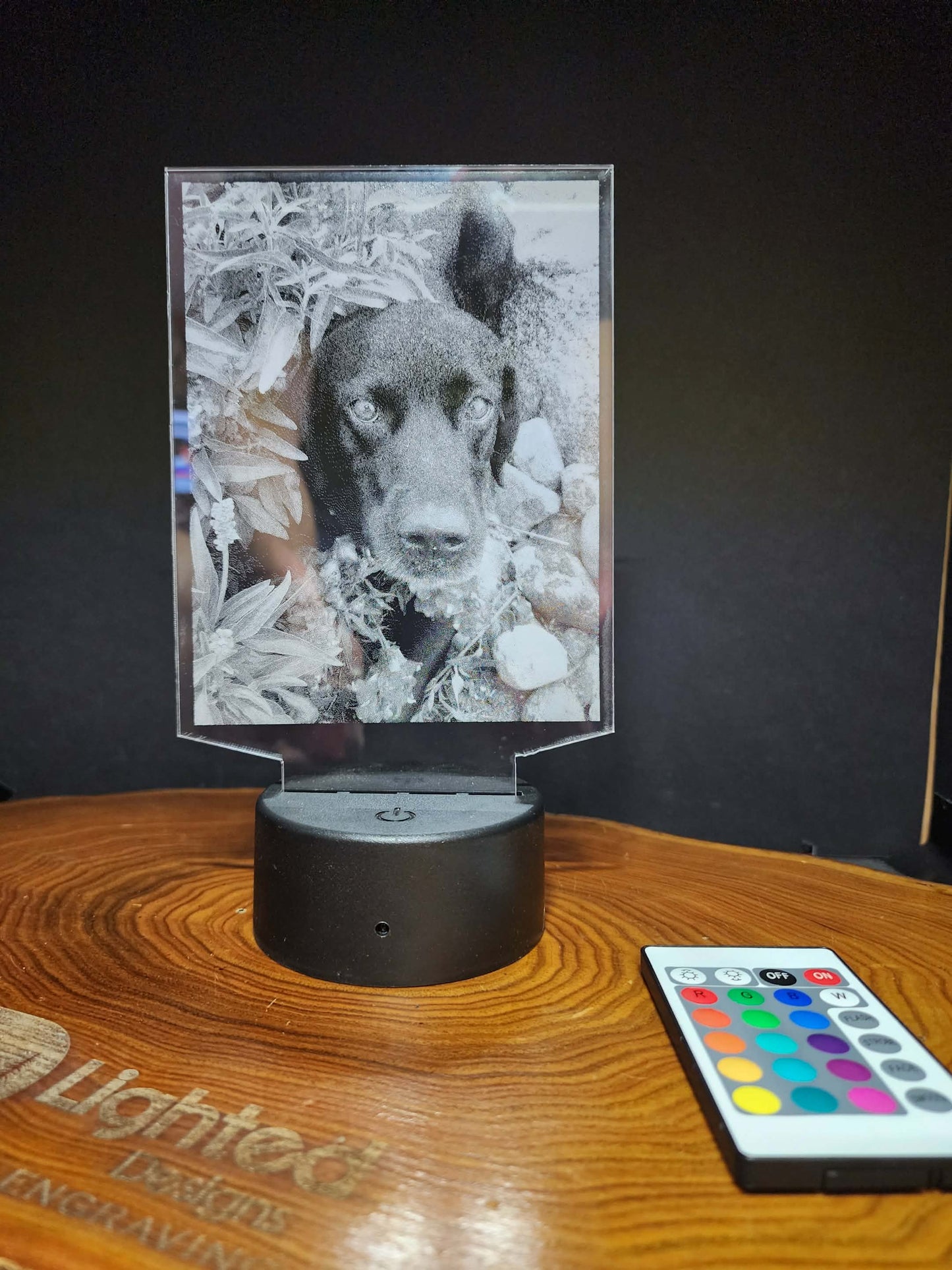 Custom Pet Portrait (mini LED)