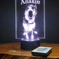 Custom Pet Portrait (mini LED)