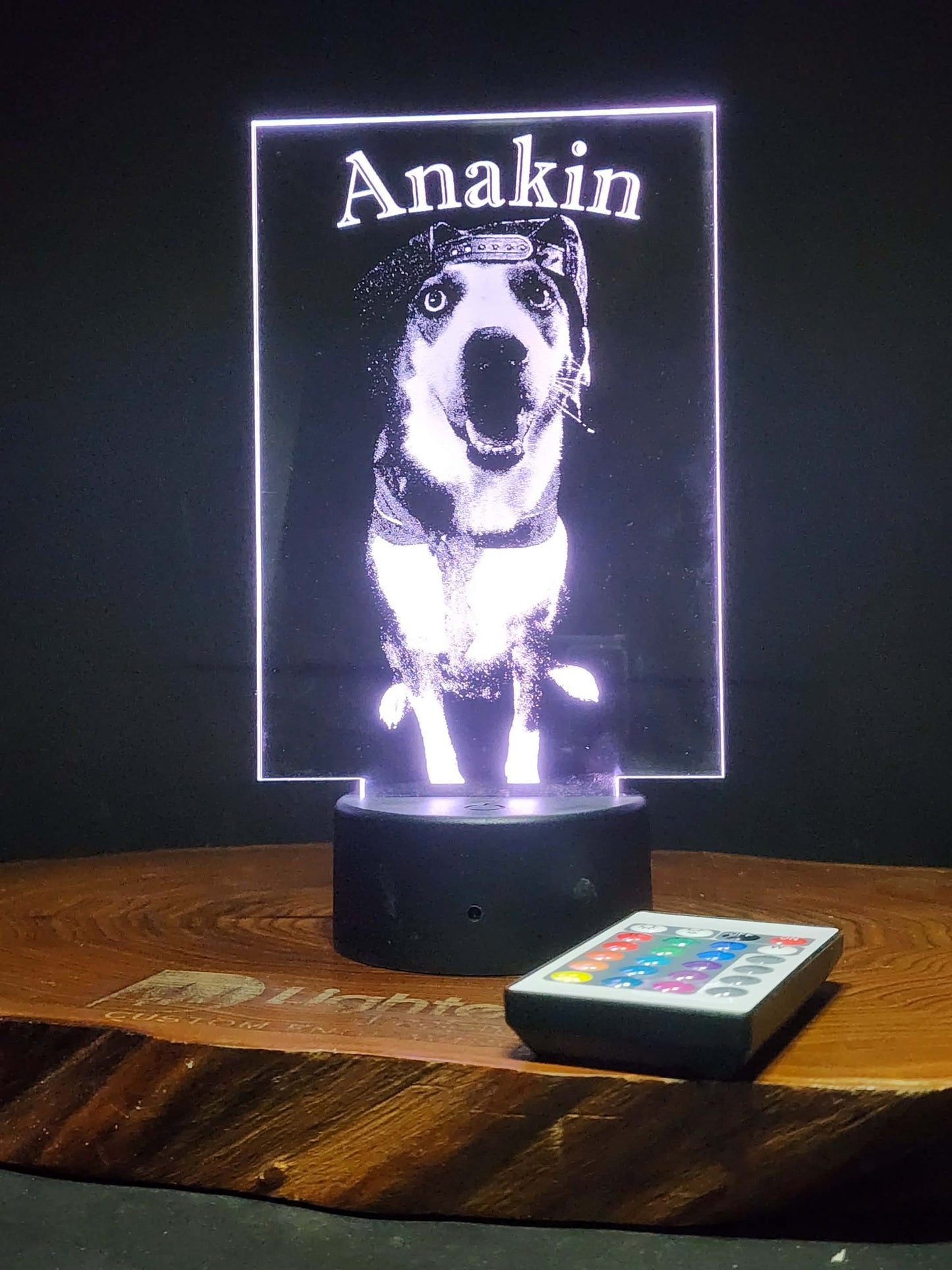 Custom Pet Portrait (mini LED)