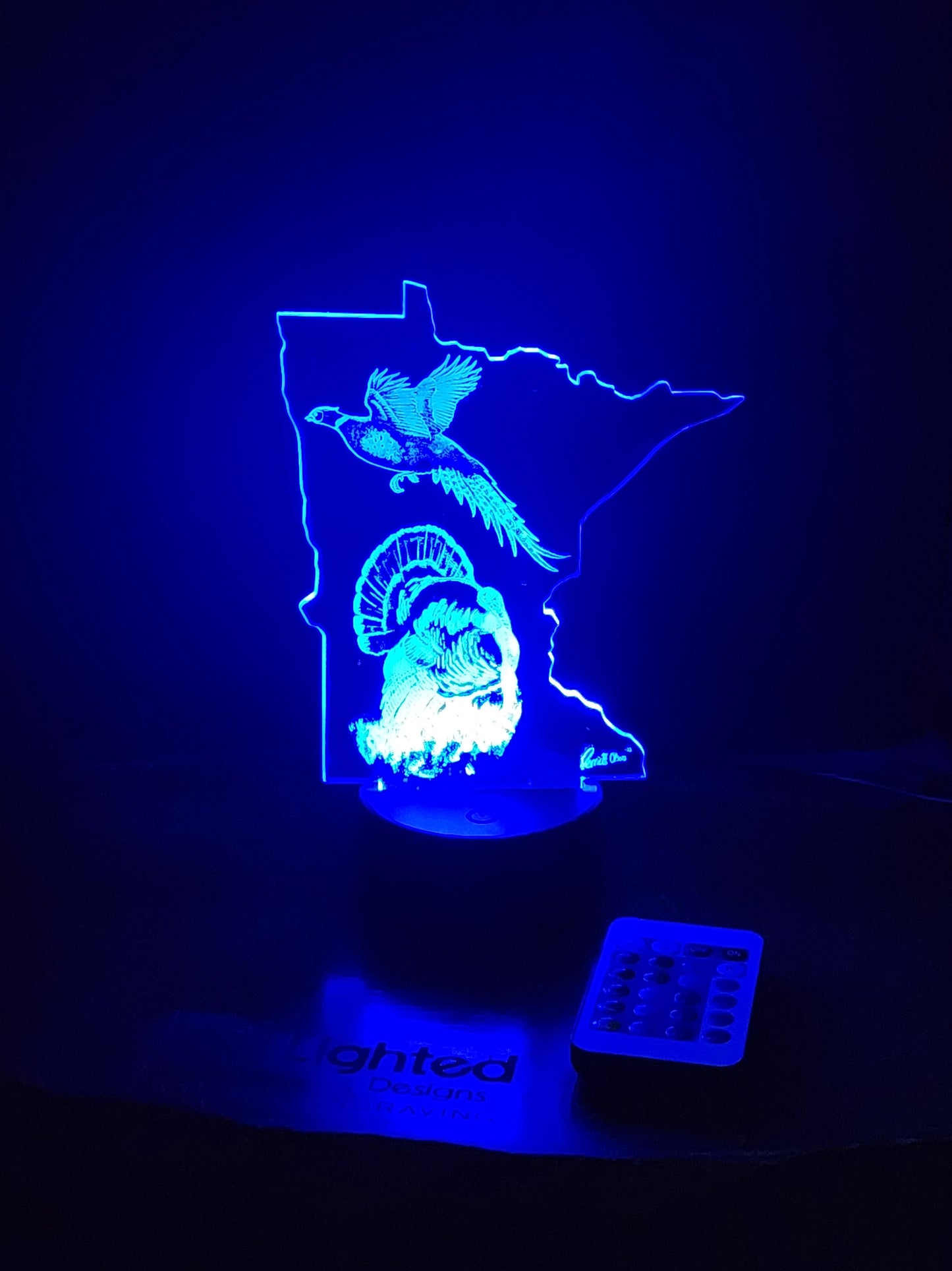 Fly away home (mini LED)
