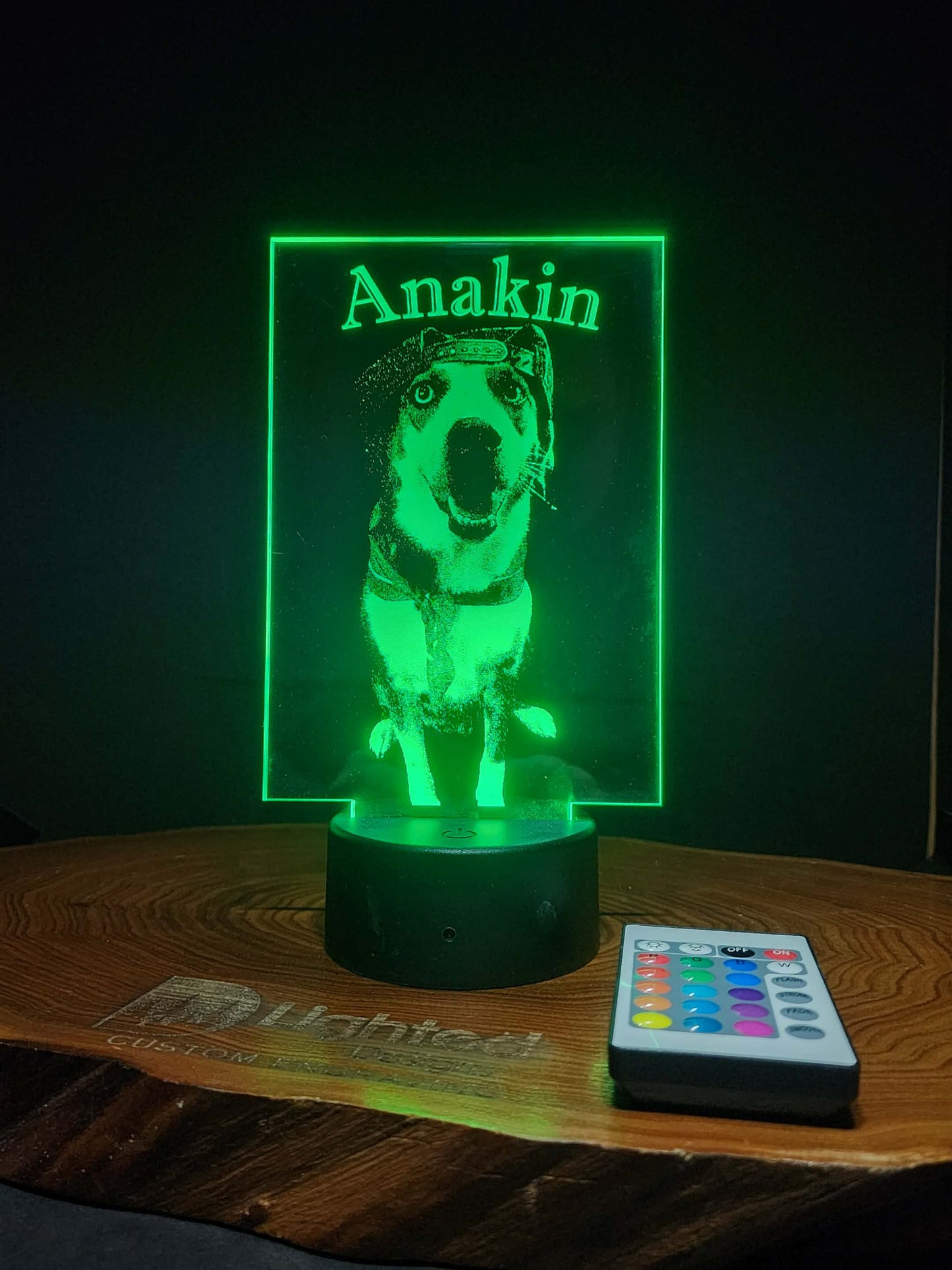 Custom Pet Portrait (mini LED)
