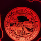 MN state seal (mini LED)