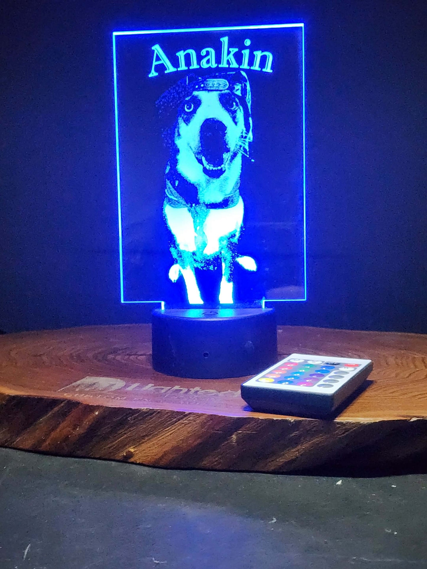 Custom Pet Portrait (mini LED)