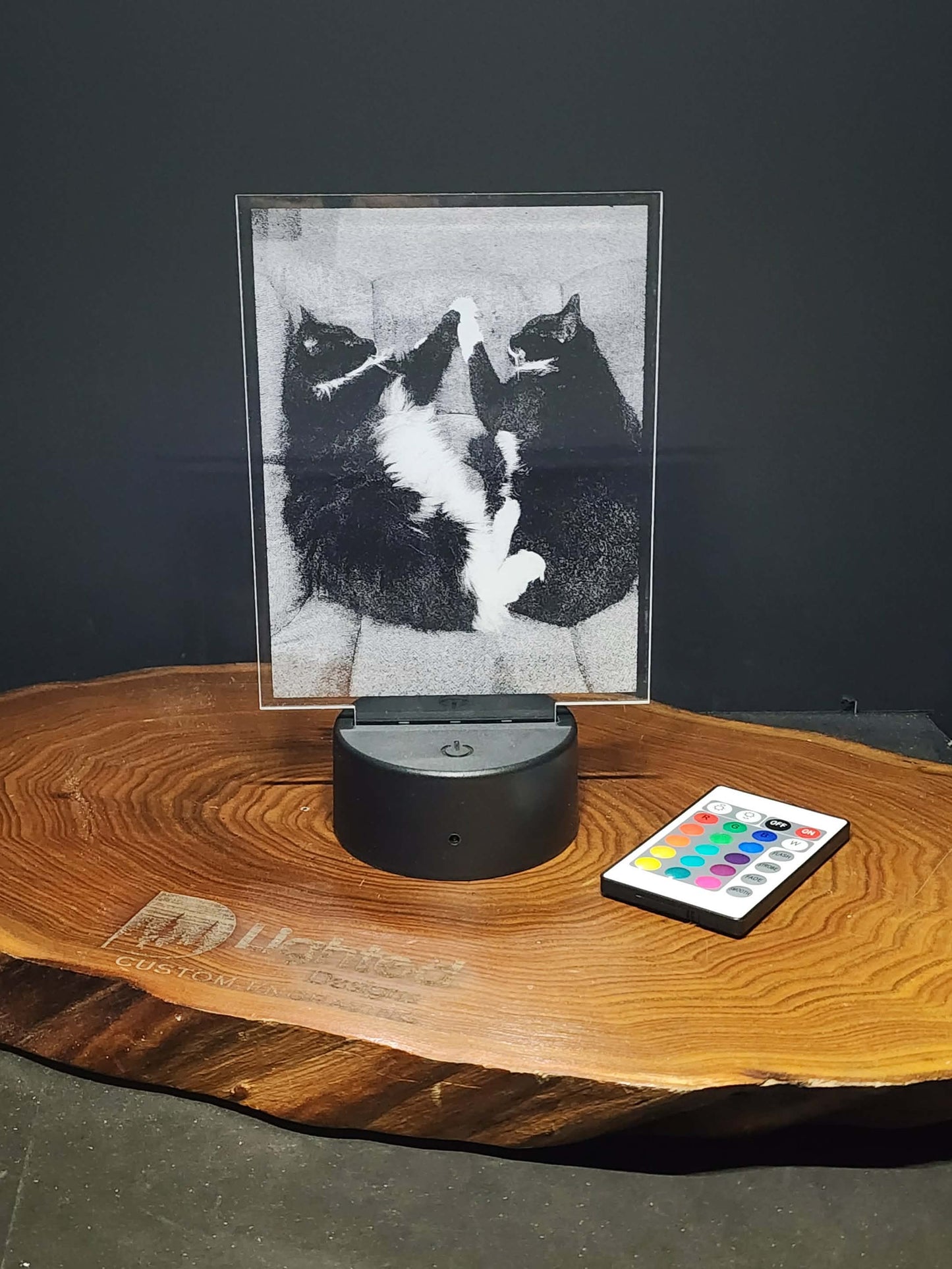Custom Pet Portrait (mini LED)
